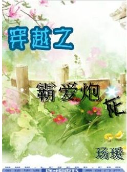 穿越之霸爱炮灰